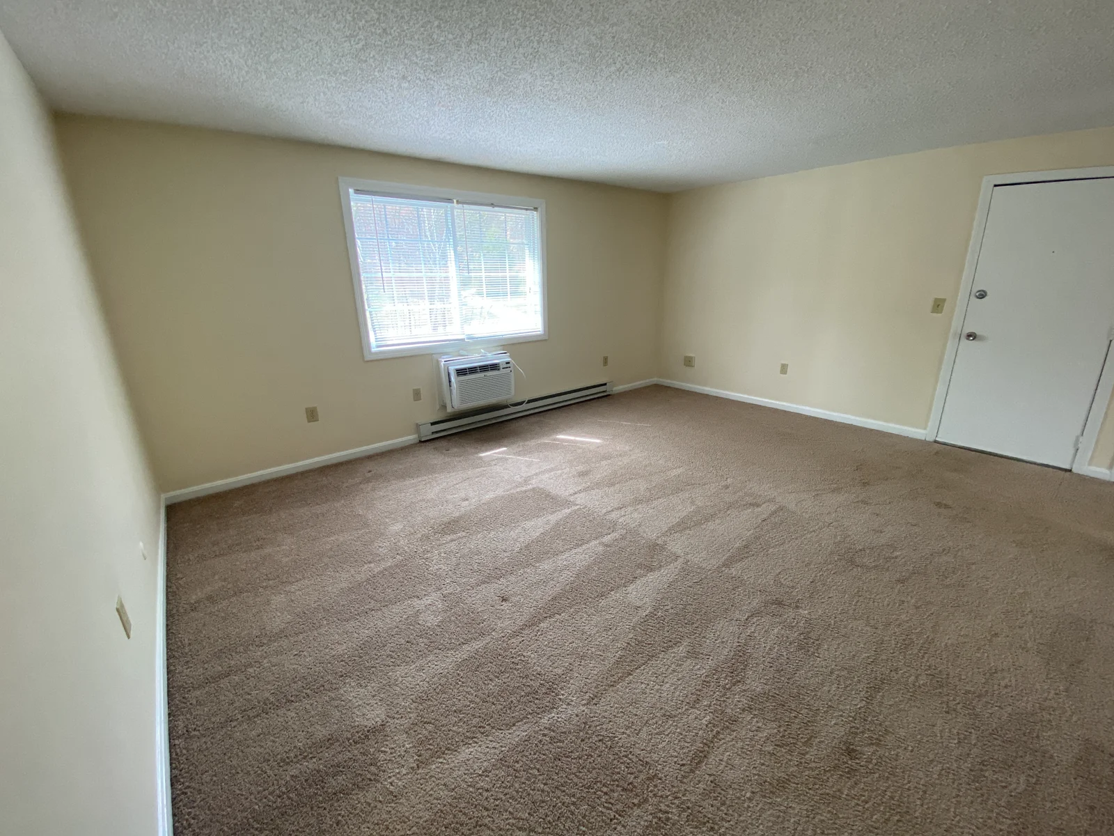 carpeted living room